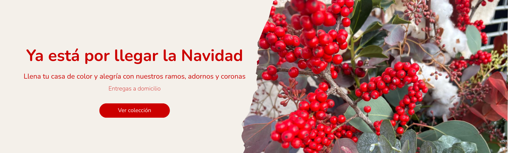 NAVIDAD